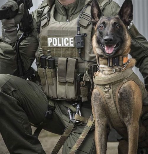  سازمان بادیگارد سگ های گارد و بادیگارد شرکت تشریفات بین الملل آکو