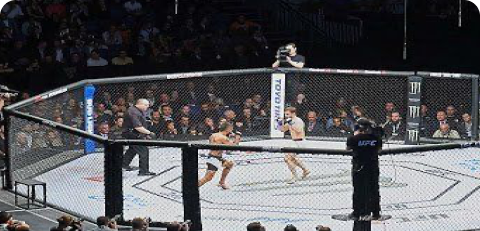 اعزام به مسابقات جهانی(ورزشی)