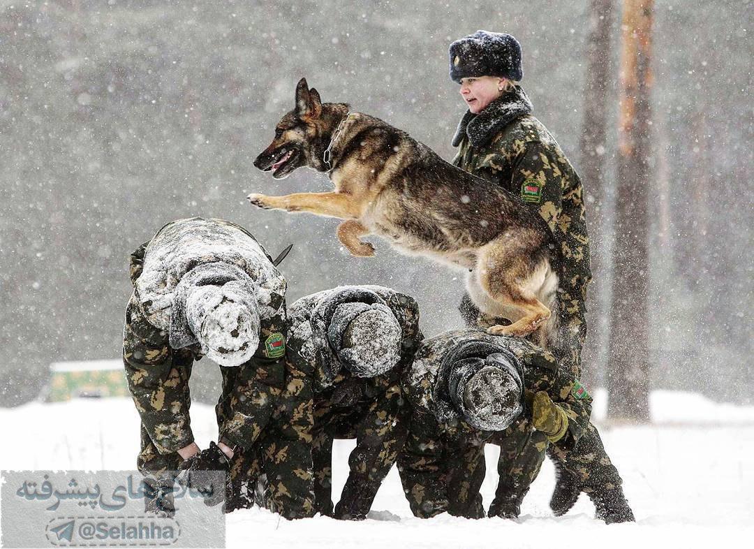 کمپانی تشریفات بین الملل آکو